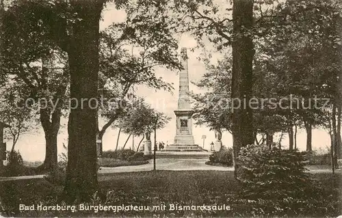 AK / Ansichtskarte  Bad_Harzburg Burgbergplateau mit Bismarcksaeule Bad_Harzburg