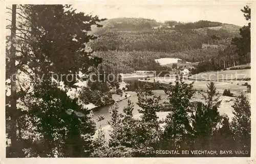 AK / Ansichtskarte  Viechtach_Bayerischer_Wald Regental Viechtach_Bayerischer