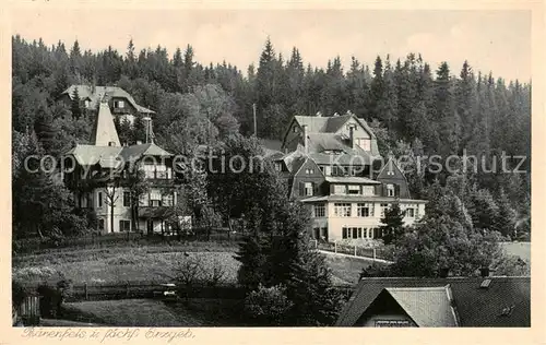 AK / Ansichtskarte  Baerenfels_Erzgebirge_Altenberg Teilansicht 