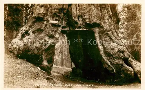 AK / Ansichtskarte  Yosemite-National_Park_California_USA Wawoka Durchgang durch einen Baum 