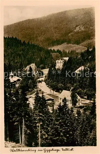 AK / Ansichtskarte  Waldbaerenburg Talblick Waldbaerenburg