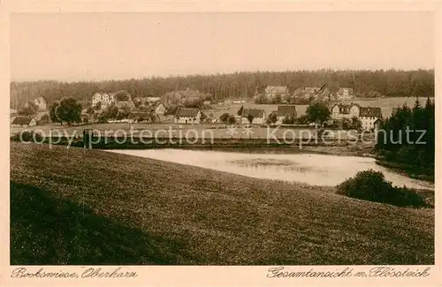 AK / Ansichtskarte  Bockswiese-Hahnenklee_Harz Panorama mit Floessteich Bockswiese-Hahnenklee