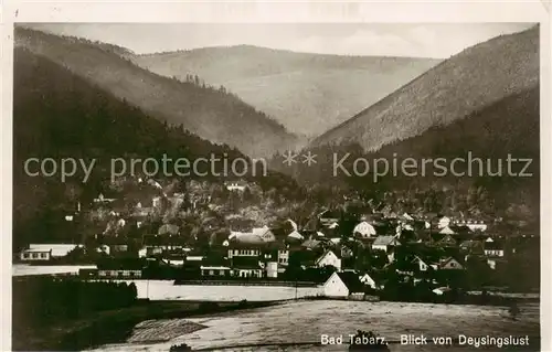 AK / Ansichtskarte  Bad_Tabarz Blick von Deysingslust 