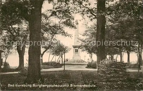 AK / Ansichtskarte  Bad_Harzburg Burgbergplateau mit Bismarcksaeule Bad_Harzburg