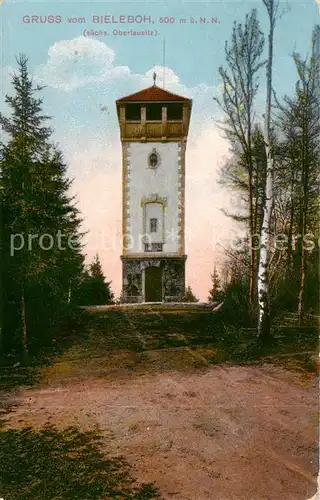 AK / Ansichtskarte  Bieleboh Aussichtsturm Bergwirtschaft Bieleboh