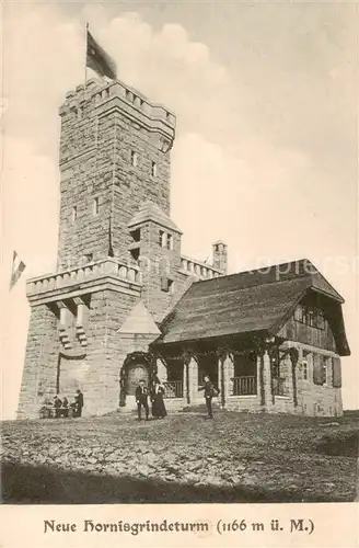 AK / Ansichtskarte  Hornisgrinde_Sasbach Neuer Hornisgrindeturm 