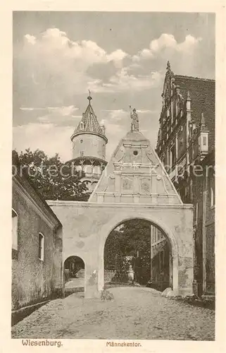 AK / Ansichtskarte  Wiesenburg_Mark Maennekentor Wiesenburg Mark