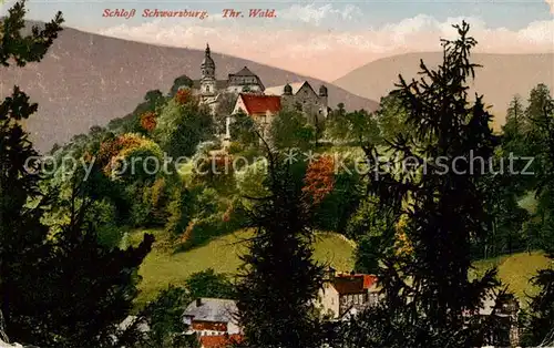 AK / Ansichtskarte  Schwarzburg_Thueringer_Wald Schloss Schwarzburg Schwarzburg_Thueringer