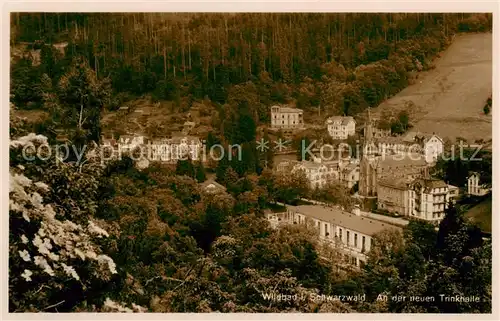 AK / Ansichtskarte  Wildbad_Schwarzwald An der neuen Trinkhalle Wildbad_Schwarzwald