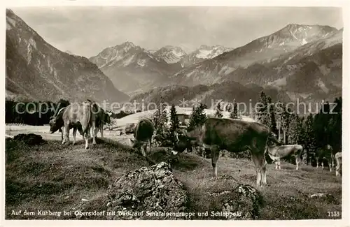 AK / Ansichtskarte  Oberstdorf Kuehberg mit Blick auf Schafalpengruppe und Schlappold Oberstdorf