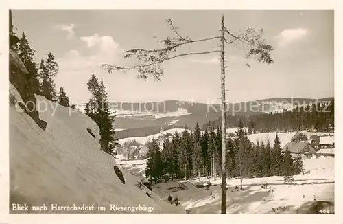 AK / Ansichtskarte  Harrachsdorf_Harrachov_CZ Panorama Hotel Erlebach 