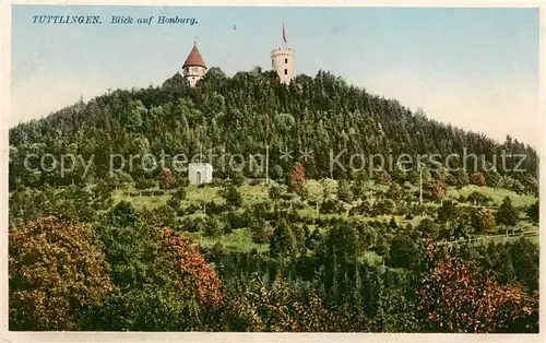 AK / Ansichtskarte  Tuttlingen Blick zur Honburg Tuttlingen