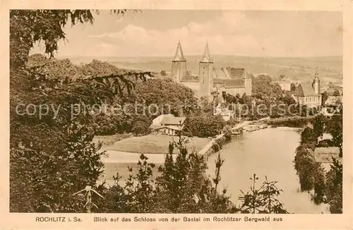 AK / Ansichtskarte  Rochlitz__Sachsen Schloss von der Bastei im Rochlitzer Bergwald 