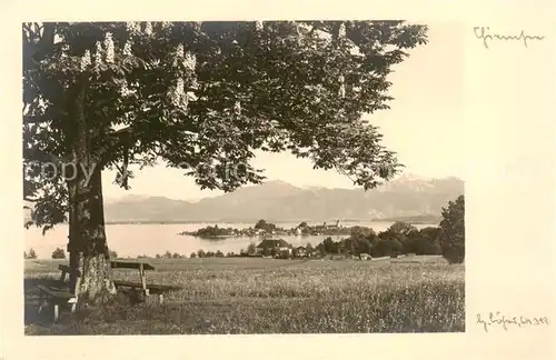 AK / Ansichtskarte  Chiemsee Panorama Chiemsee