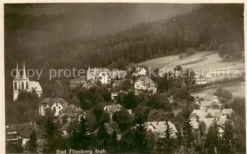 AK / Ansichtskarte  Bad_Flinsberg_Swieradow_Zdroj_PL Panorama 