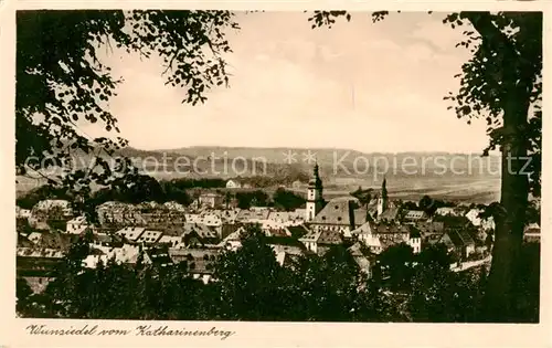 AK / Ansichtskarte  Wunsiedel Blick vom Katharinenberg Wunsiedel