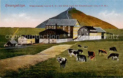 AK / Ansichtskarte 73808984 Wiesenbaude_1400m_Riesengebirge_CZ Bergbaude mit Blick nach der Schneekoppe 