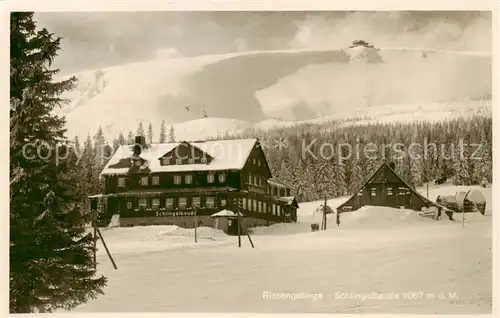 AK / Ansichtskarte  Riesengebirge_Schlesischer_Teil Schlingelbaude 