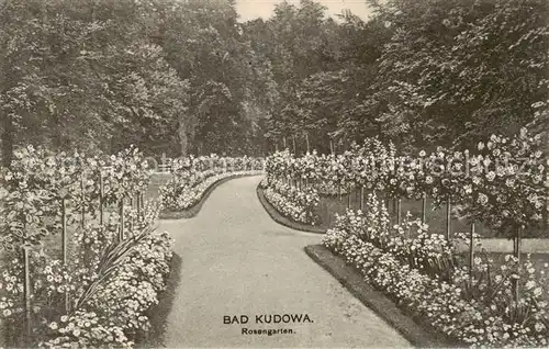 AK / Ansichtskarte  Bad_Kudowa_Kudowa-Zdroj_Niederschlesien_PL Rosengarten 