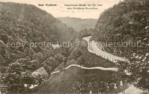 AK / Ansichtskarte  Bad_Kudowa_Kudowa-Zdroj_Niederschlesien_PL Heuscheuer Strasse mit Tal nach dem Forsthaus Restaurant 