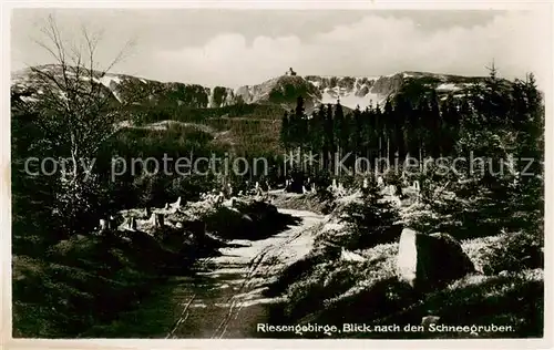 AK / Ansichtskarte 73809247 Riesengebirge_Schlesischer_Teil Blick zu den Schneegruben 