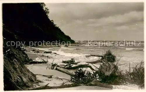 AK / Ansichtskarte 73809251 Rauschen_Ostseebad_Kaliningrad_Swetlogorsk_RU Panorama 