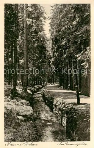 AK / Ansichtskarte  Altenau_Harz Am Dammgraben Altenau Harz