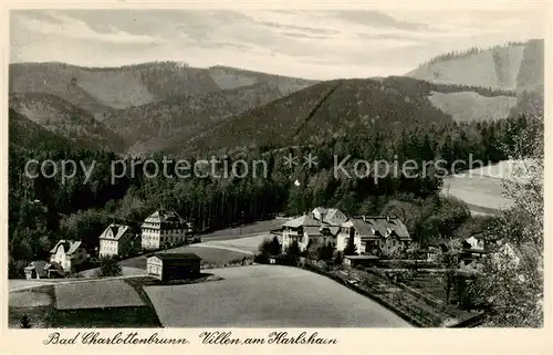 AK / Ansichtskarte  Bad_Charlottenbrunn_PL Villen am Karlshain 