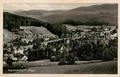 AK / Ansichtskarte  Agnetendorf_ Jagniatkow_Jelenia_Gora_Riesengebirge_PL Panorama 
