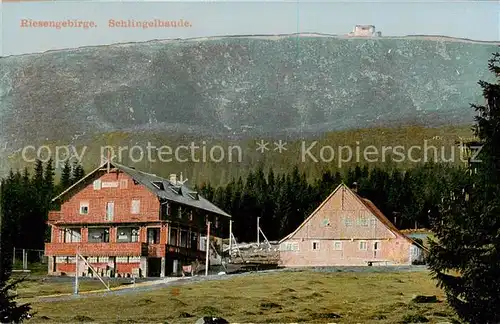 AK / Ansichtskarte  Riesengebirge_Schlesischer_Teil Schlingelbaude 