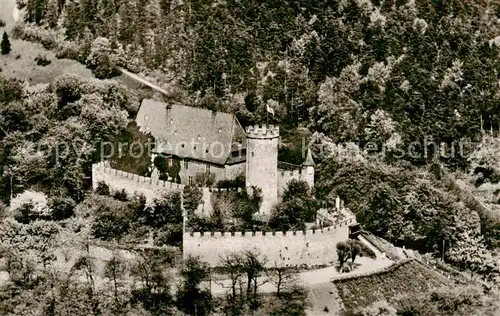 AK / Ansichtskarte  Biedenkopf_Lahn Schloss Biedenkopf Fliegeraufnahme 