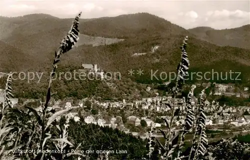 AK / Ansichtskarte  Biedenkopf_Lahn Panorama mit Schloss 