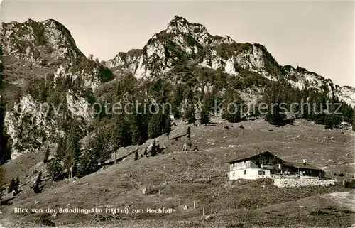 AK / Ansichtskarte  Bruendlingalm_1161m_Hochfelln Panorama 