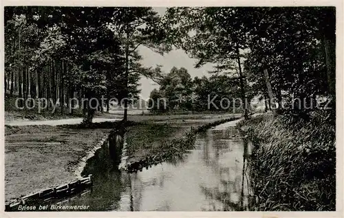 AK / Ansichtskarte  Briese_Birkenwerder Landschaftspanorama Briese Birkenwerder