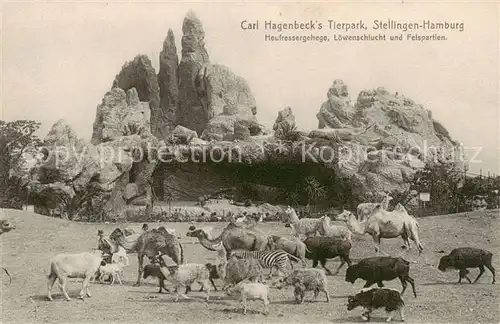 AK / Ansichtskarte  Stellingen_Hamburg Carl Hagenbecks Tierpark Heufressergehege Loewenschlucht und Felspartien Stellingen Hamburg