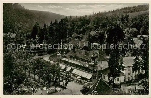 AK / Ansichtskarte 73809732 Alexisbad_Harz im Selketal Alexisbad_Harz