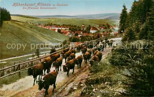 AK / Ansichtskarte  Altenau_Harz Die Altenauer Damenkapelle Hoehenkurort Altenau Harz