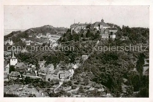 AK / Ansichtskarte  Blankenburg_Harz Panorama Blick zum Schloss Blankenburg_Harz