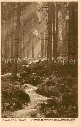 AK / Ansichtskarte  Altenau_Harz Morgenstimmung am Dammgraben Altenau Harz