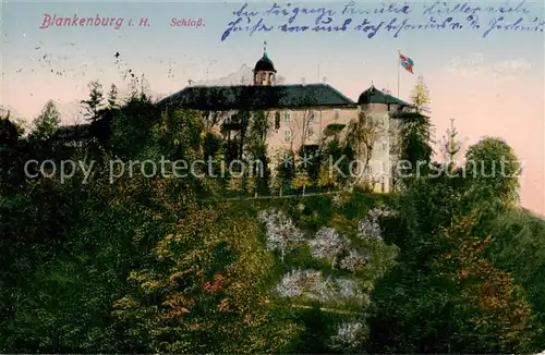 AK / Ansichtskarte  Blankenburg_Harz Schloss Blankenburg_Harz