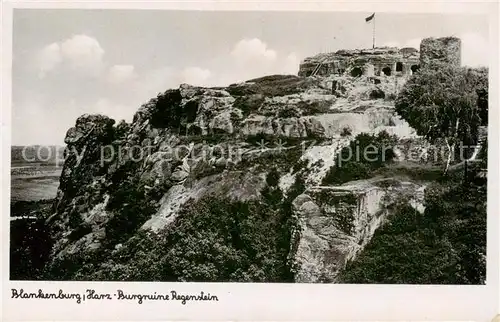 AK / Ansichtskarte  Blankenburg_Harz Burgruine Regenstein Blankenburg_Harz