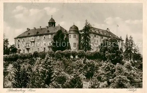 AK / Ansichtskarte  Blankenburg_Harz Schloss Blankenburg_Harz