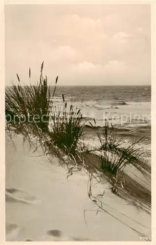 AK / Ansichtskarte  Wenningstedt_Sylt Duenen Nordseebad Wenningstedt_Sylt