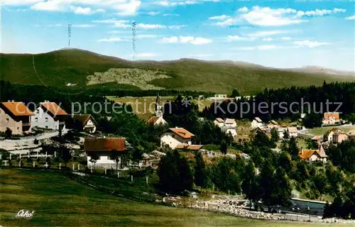 AK / Ansichtskarte  Spiegelau Panorama Spiegelau