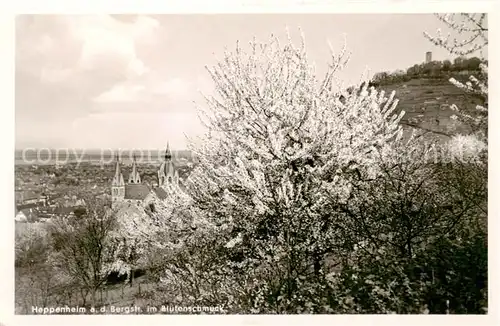 AK / Ansichtskarte 73809909 Heppenheim_Bergstrasse Panorama im Bluetenschmuck Heppenheim_Bergstrasse