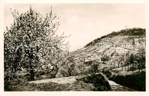 AK / Ansichtskarte  Heppenheim_Bergstrasse Panorama Mandelbluete Heppenheim_Bergstrasse