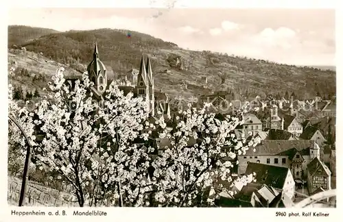 AK / Ansichtskarte  Heppenheim_Bergstrasse Panorama Mandelbluete Heppenheim_Bergstrasse