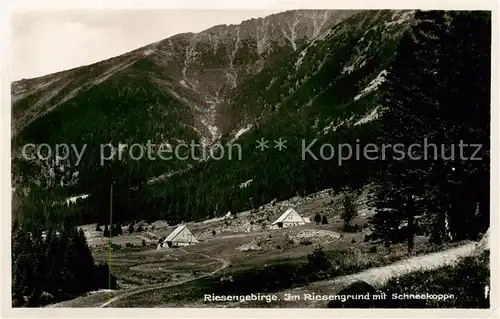 AK / Ansichtskarte  Schneekoppe_Snezka_CZ Im Riesengrund 