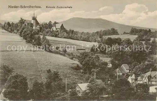 AK / Ansichtskarte  Nieder-Schreiberhau_Szklarska_Poreba_Riesengebirge_PL Kolonie Zuckerschale 