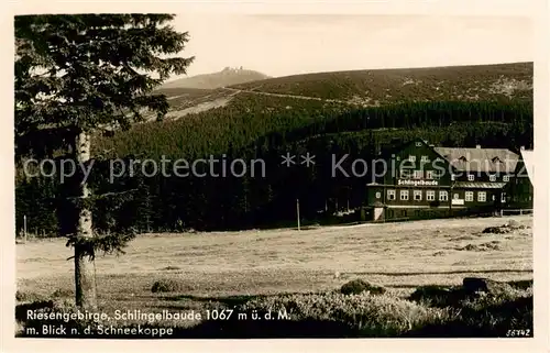 AK / Ansichtskarte  Riesengebirge_Schlesischer_Teil Schlingelbaude mit Schneekoppe 